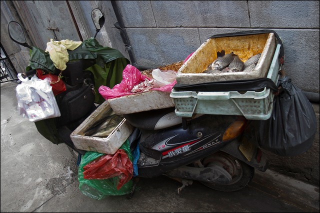 Selling fish in a Shanghai alley.