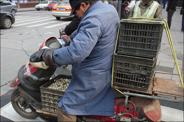 Delivering quail eggs, Shanghai, China.