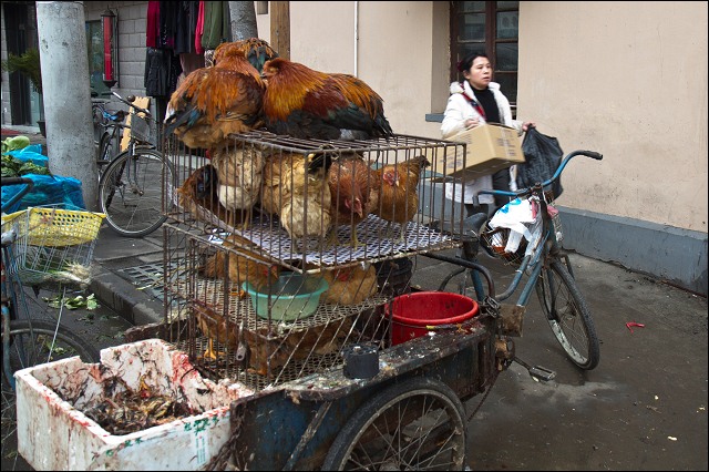 Meat on the street in Shanghai, China.