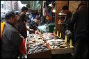 Inspecting the fish on Mott Street. Chinatown, NYC.