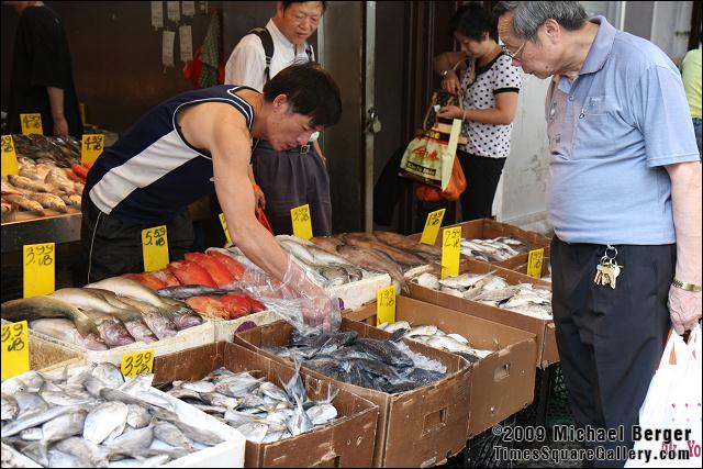 Buying and selling fish on Mott Street. Chinatown, NYC.