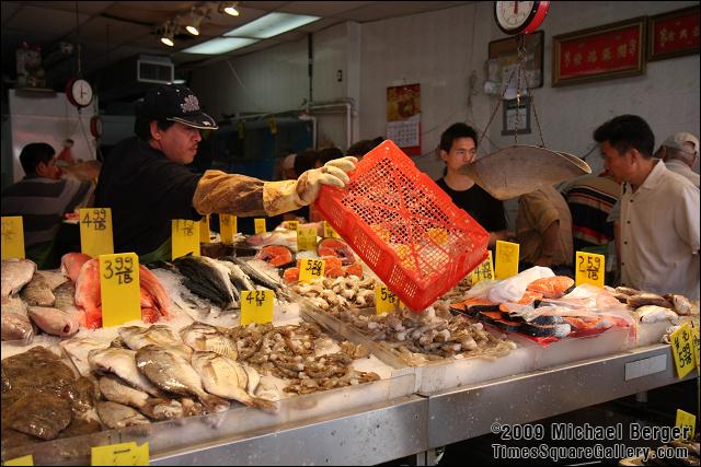 Restocking the fish. Chinatown, NYC.