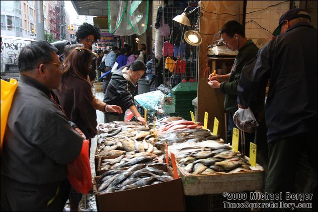 Inspecting the fish on Mott Street. Chinatown, NYC.