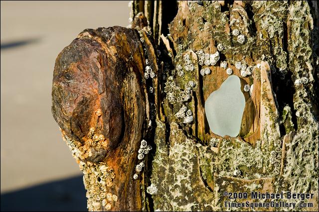 Textured sea glass shaped by ocean sand, wood piling with rusted support and barnacles.  Fort Tilden, NY.