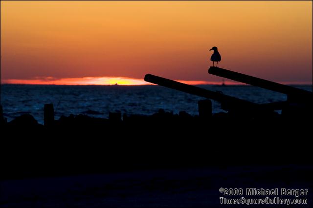 Sun falls below the horizon, sea gull  perched on driftwood structure. Fort Tilden, NY.