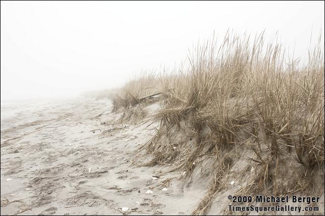 Edge of the beach. Fort Tilden, NY.